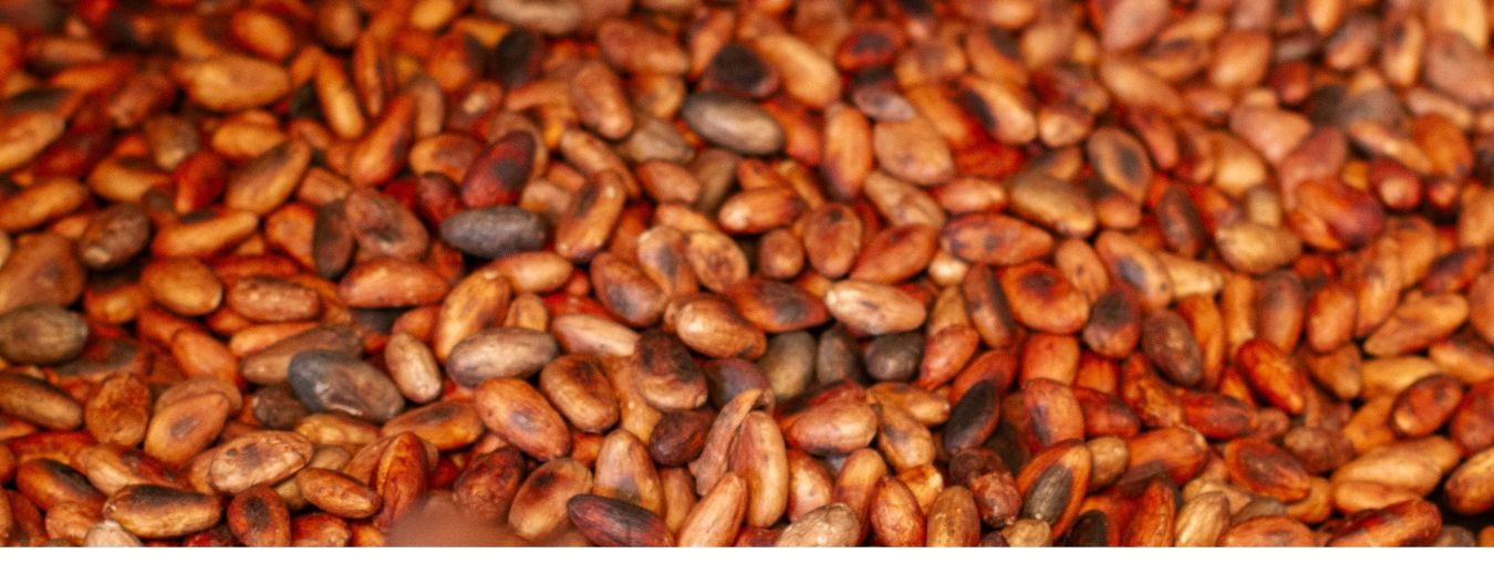Cacao