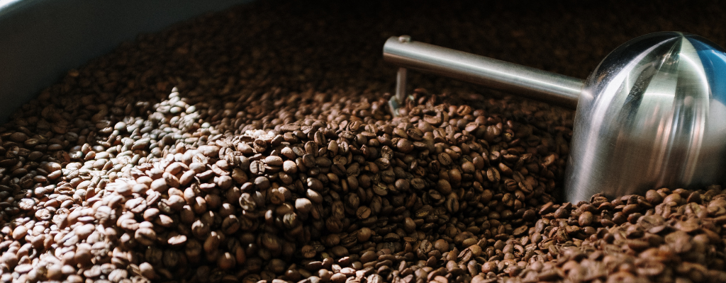 blog-cafe-caracteristicas.png