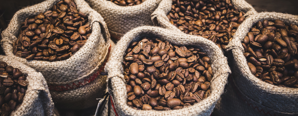 blog-cafe-exportacion.png