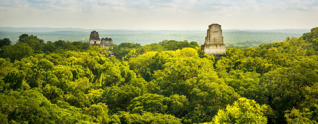 photo-body-blog-tikal-nature.png