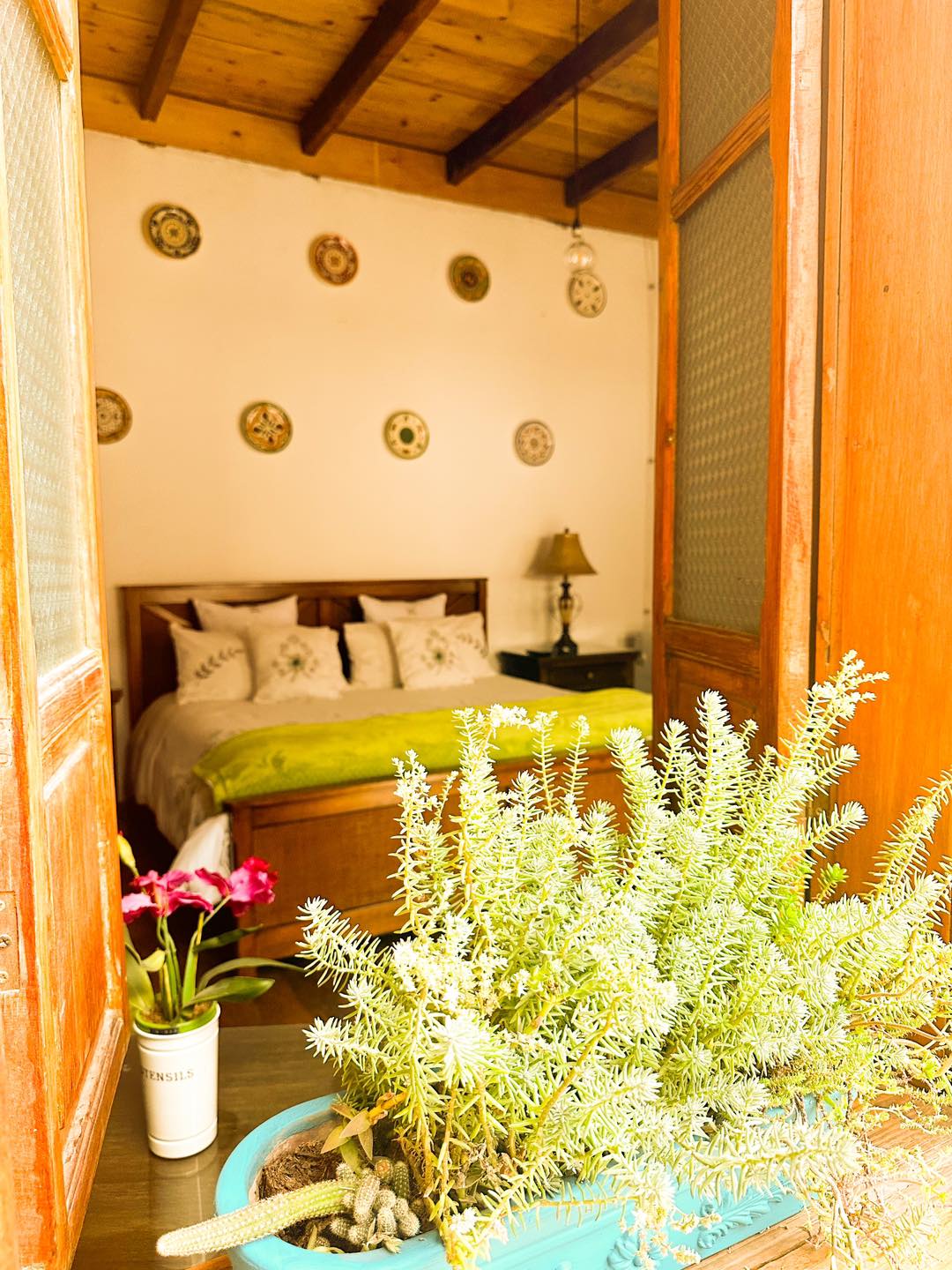 Gallery Travelisimo
