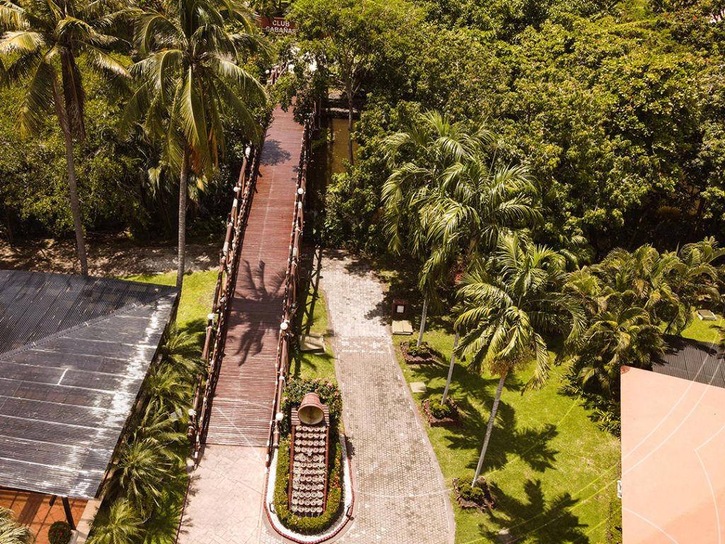 Tropical Paradise and Infinite Fun - 4