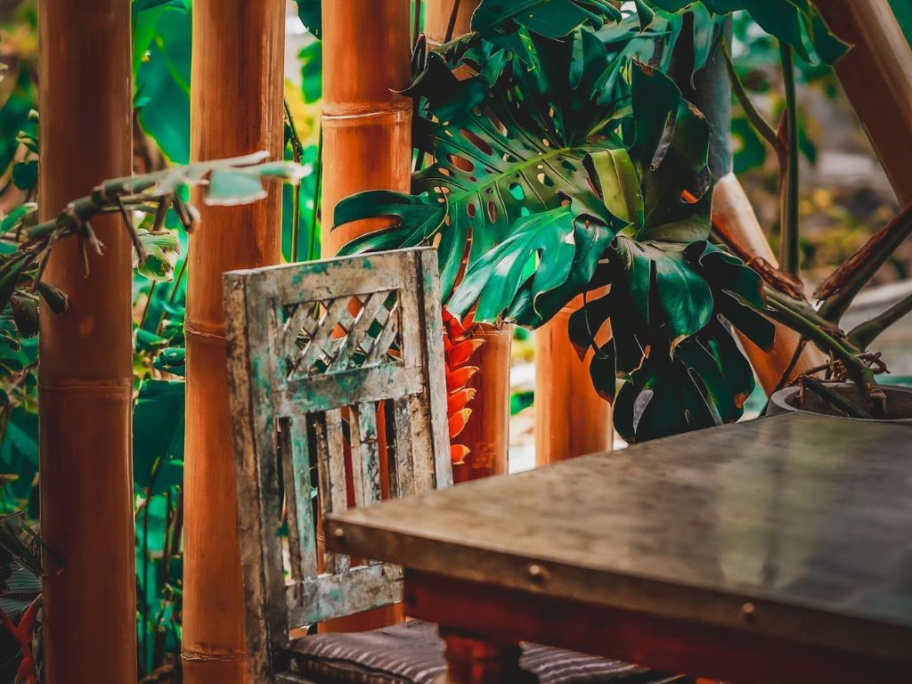 Lush Atitlán Gallery Travelisimo