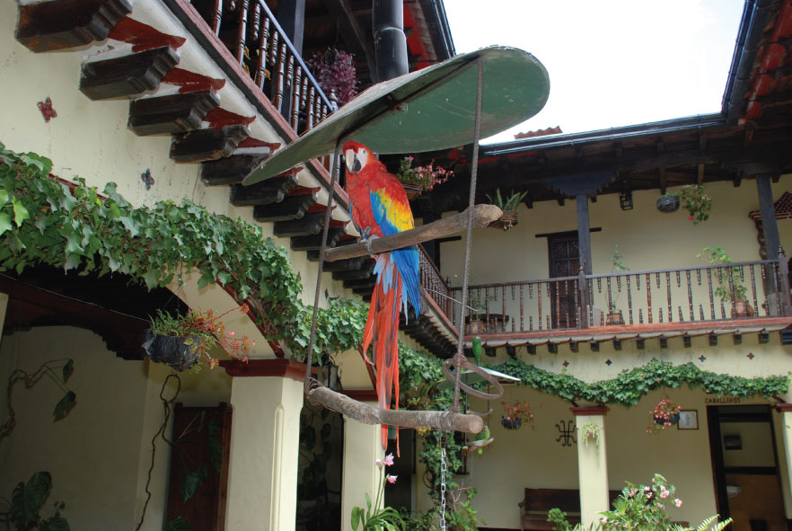 Hotel Maya Inn Gallery Travelisimo