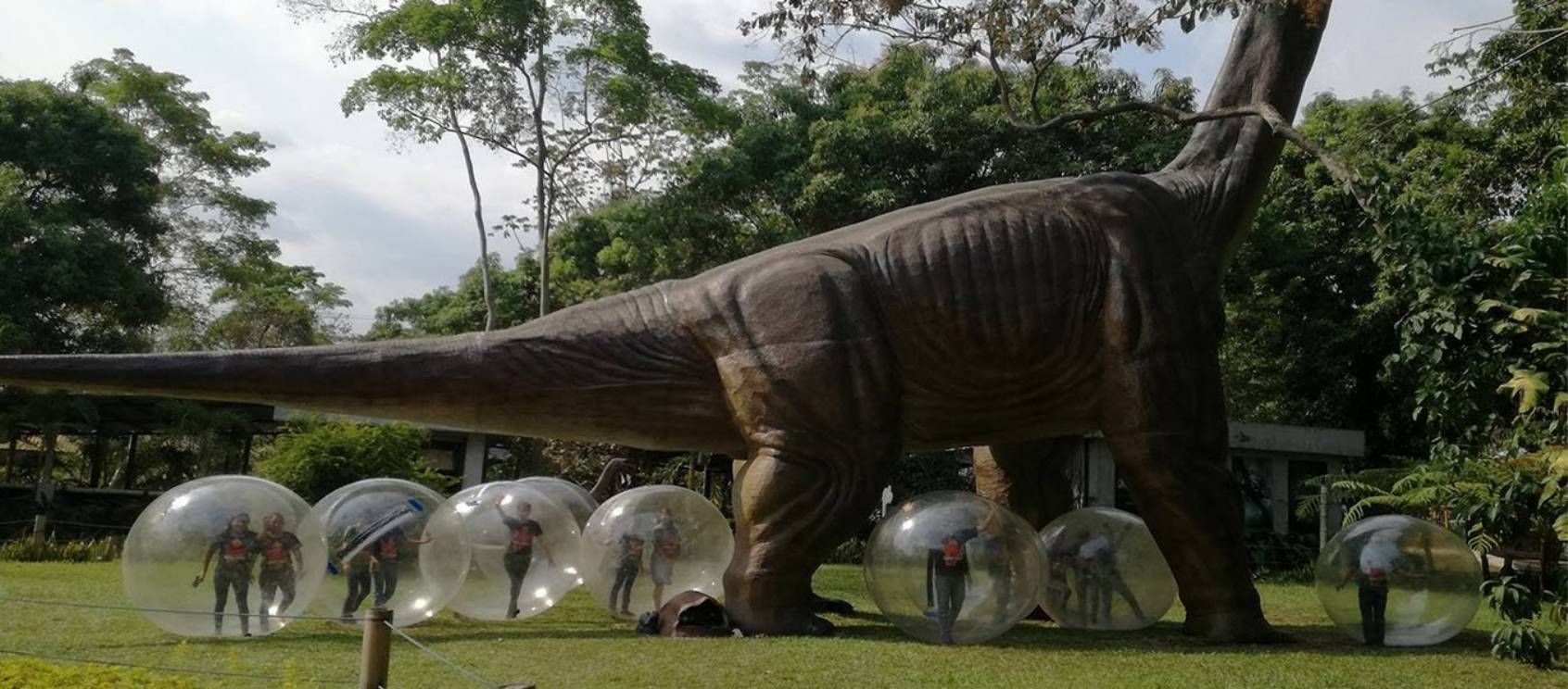 info Blog  DinoPark.jpg