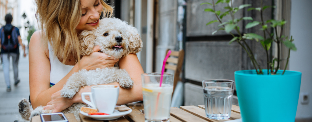 ## Restaurantes Pet Friendly en Antigua Guatemala

![principal blog pet friendly.png](https://cdn.travelisimo.com/principal_blog_pet_friendly_97b40f2a01)

Si eres de las personas que aman pasear con su mascota no puedes perderte este blog. Sabemos que tú mejor amigo es mucho más que solo una mascota, y disfrutas de su compañía en todo momento. Por eso hemos preparado para ti un blog sobre restaurantes a dónde puedas llegar acompañado de tu mascota y se sienta como en casa.

¿Estás listo para este recorrido? 
Comencemos

---

#### Cervecería y restaurante Antigua Brewing Co

![principal blog pet friendly (3).png](https://cdn.travelisimo.com/principal_blog_pet_friendly_3_d7db21462e)

Siempre es un buen día para tomar una cerveza artesanal acompañado de tu amigo peludo. Antigua Brewing Co. es un restaurante y cervecería ubicado en el corazón de la Antigua Guatemala. Aquí podrás disfrutar de buena comida, cerveza de la más alta calidad, música en vivo y un ambiente agradable para compartir con amigos o familia. 

**Horarios de atención**

Lunes a viernes: 11:00-23:00

Sábado: 08:00-00:00

Domingo: 08:00-23:00

**Ubicación**

3ra calle Poniente, No 4, Antigua Guatemala.

O búscalos en [Google Maps](https://goo.gl/maps/5tmUq7rR3oQoXqyj8)

**Redes sociales**

Facebook: [@antiguabrewingco](https://www.facebook.com/antiguabrewingco)

Instagram:[@antiguabrewingco](https://www.instagram.com/antiguabrewingco)

---

#### Mestizo Antigua

![185.png](https://cdn.travelisimo.com/185_5ec6c85a5e)

Mestizo Antigua le abre las puertas a tu amigo canino para que disfrute junto a ti de este increíble lugar. En este hotel boutique encontrarás un relajante café bistro, un restaurante enfocado en gastronomía tipo fusión, además de zonas exclusivas como su cava subterránea, o el rooftop con vista a los volcanes que rodean la ciudad. En Mestizo podrás vivir experiencias únicas por medio de la gastronomía, y por supuesto, acompañado de tu amigo peludo.

**Horarios de atención**

Lunes y martes -  8:00 a.m. a 5:00 p.m.

Miércoles a sábado - 8:00 a.m. a 9:00 p.m.

Domingo - 8:00 a.m. a 6:00 p.m.

**Ubicación**

6ta ave Norte #2, Antigua Guatemala

O búscalos en [Google Maps](https://goo.gl/maps/ct9UBTu9pXXw341U6)


**Redes sociales**

Facebook: [@mestizoantigua](https://www.facebook.com/mestizoantigua)

Instagram: [@mestizoantigua](https://www.instagram.com/mestizoantigua)

---

#### Raven Hood Antigua

![186.png](https://cdn.travelisimo.com/186_33e1e099be)

El lugar ideal para disfrutar de una buena tarde con amigos, y por supuesto, con tu mejor amigo peludo también. Aquí podrás degustar de deliciosas hamburguesas, bebidas preparadas, platillos para compartir, paninis, tapas, nachos, entre otros. Y por si fuera poco también puedes encontrar juegos como lanzamiento de dardos, un totito gigante, mesas de futbolito y juegos de mesa. Así que si lo que buscas es comer rico y divertirte al máximo puedes visitar Raven Hood. 

**Horarios de atención**

Lunes y martes -  Cerrado

Miércoles y jueves - 12:00 p.m. a 8:00 p.m.

Viernes - 12:00 p.m. a 9:00 p.m.

Sábado y Domingo - 8:00 a.m. a 9:00 p.m.

**Ubicación**

Calle de la recolección No.8, Antigua Guatemala

O búscalos en [Google Maps](https://goo.gl/maps/3SmpxxPegzfi5Sy87)

**Redes sociales**

Facebook: [@ravenhoodgt](https://www.facebook.com/ravenhood)

Instagram: [@ravenhoodgt](https://www.instagram.com/ravenhood)

---

#### El Azote Beer Garden

![187.png](https://cdn.travelisimo.com/187_7926a4890b)

¿Se te antoja salir a pasear con tu amigo en un espacio al aire libre? Entonces deben de visitar el Azote Beer Garden. En este espacio colorido encontrarás jardínes rodeados de naturaleza, un ambiente tranquilo y seguro, con música en vivo y buena compañia. Aquí podrás disfrutar más de 70 cervezas artesanales, aunque te recomendamos que no te las tomes todas el mismo día. Visita el Azote Beer Garden con tus amigos, pareja o familia, pero sin olvidar a tu fiel acompañante.

**Horarios de atención**

Lunes a domingo - 8:00 a.m. - 6:00 p.m.

**Ubicación**

Finca La Azotea, Jocotenango

O búscalos en [Google Maps](https://g.page/AzoteBG?share)

**Redes sociales**

Facebook: [@azotebg](https://www.facebook.com/azotebg/)

Instagram: [@azotebg](https://www.instagram.com/azotebg/)

---

#### Antigua Boreal, El Hato 

![188.png](https://cdn.travelisimo.com/188_5c8d98e9e9)

Si eres un amante de la buena pizza y del queso entonces debes de probar la Deep Dish pizza de Antigua Boreal. Lo mejor es que al ser pet friendly puedes venir acompañado de tu mascota y disfrutarás a su lado de un ambiente al aire libre. Si quieres escapar de la rutina, o simplemente conocer nuevos lugares, visita Antigua Boreal. 

**Horarios de atención**

Lunes a domingo - 8:00 a.m. - 6:00 p.m.

**Ubicación**

5a Avenida Norte, El Hato

O búscalos en [Google Maps](https://g.page/antiguaboreall?share)

**Redes sociales**

Facebook: [@antiguaboreal](https://www.facebook.com/Antigua-Boreal-260855817698360//)

Instagram: [@antiguaboreal](https://www.instagram.com/antiguaboreal/?hl=es)

---

#### Earth Lodge

![189.png](https://cdn.travelisimo.com/189_964bc31729)

Si quieres ir a pasear a un lugar rodeado de naturaleza y con increíbles vistas a los volcanes, date una vuelta por Earth Lodge. Aquí tu perro será muy feliz con los amplios espacios verdes que tiene, áreas al aire libre, y mucha naturaleza para que explore junto a ti. Su restaurante tiene una vista privilegiada a los volcanes, en donde seguro te encantaría tomarte una foto con tu amigo peludo. 

**Horarios de atención**

Lunes a domingo - 8:00 a.m. - 7:30 p.m.

**Ubicación**

Aldea El Hato, Antigua Guatemala, Sacatepéquez

O búscalos en [Google Maps](https://g.page/Earthlodge?share)

**Redes sociales**

Facebook: [@earthlodgeguatemala](https://www.facebook.com/earthlodgeguatemala/)

Instagram: [@earthlodgeguatemala](https://www.instagram.com/earthlodgeguatemala)

---

#### Restaurante El Arco

![190.png](https://cdn.travelisimo.com/190_acf927d7a9)

Ahora no tendrás que dejar a tu amigo canino en casa nunca más, porque en restaurante El Arco puedes disfrutar de su compañía mientras degustas uno de sus deliciosos platillos. Lo encuentras en el centro de la Antigua Guatemala, con mesas al aire libre, un ambiente tranquilo y una variedad de platillos para que escojas el que prefieras. 

**Horarios de atención**

Lunes a domingo - 7:00 a.m. - 10:00 p.m.

**Ubicación**

5a Avenida Norte #28, Antigua Guatemala

O búscalos en [Google Maps](https://goo.gl/maps/6z31MPDyCdKuzyw1A)

**Redes sociales**

Facebook: [@restaurante_del_arco](https://www.facebook.com/restaurantedelarcoantigua/)

Instagram: [@restaurante_del_arco](https://www.instagram.com/restaurante_del_arco/?hl=es)

- - -
¿Te gustó la información que encontraste por aquí? 
Suscríbete y recibe información de este tipo todas las semana