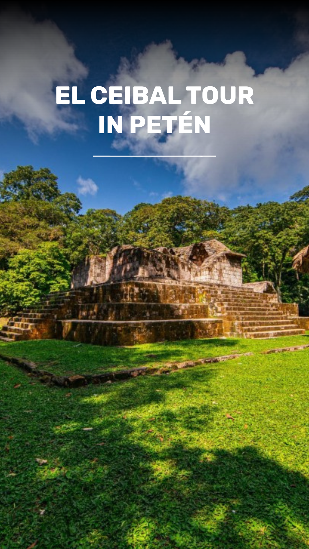 Discover the Ancient Maya Stelae video