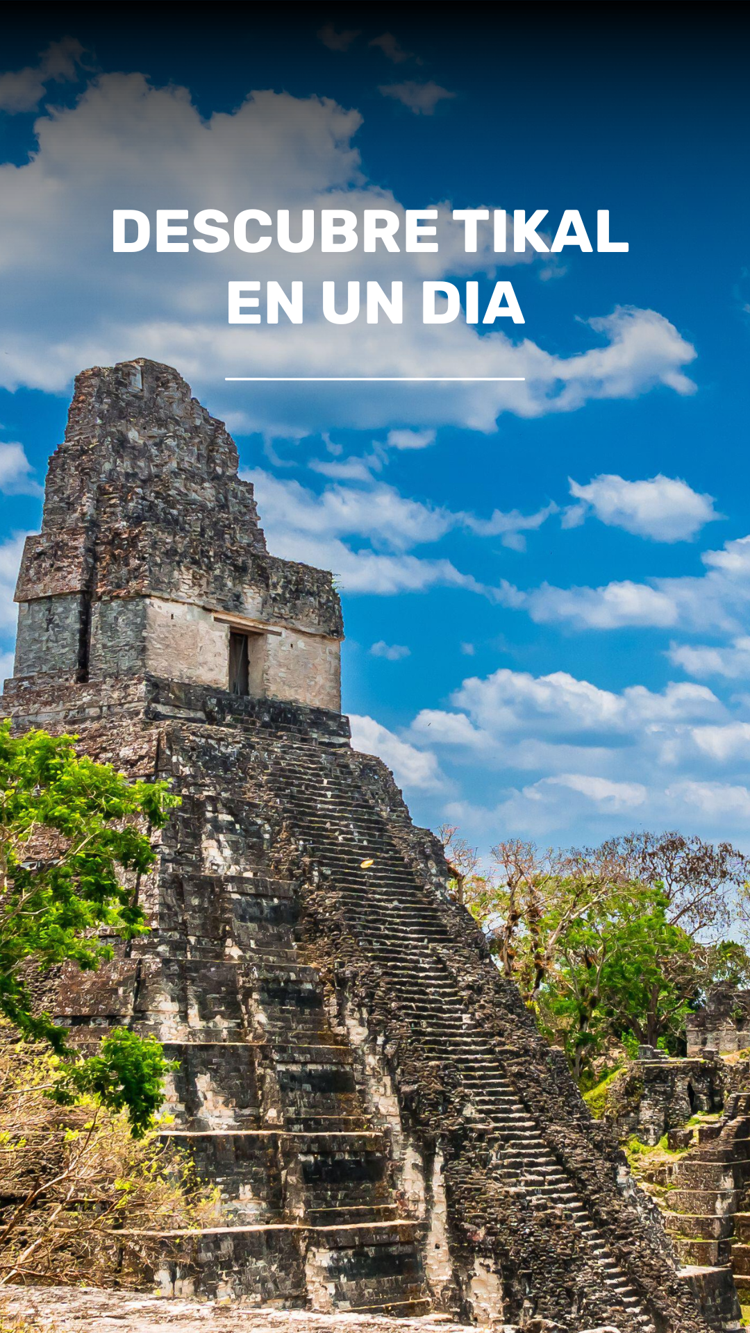 Visita guiada a Tikal desde Flores video