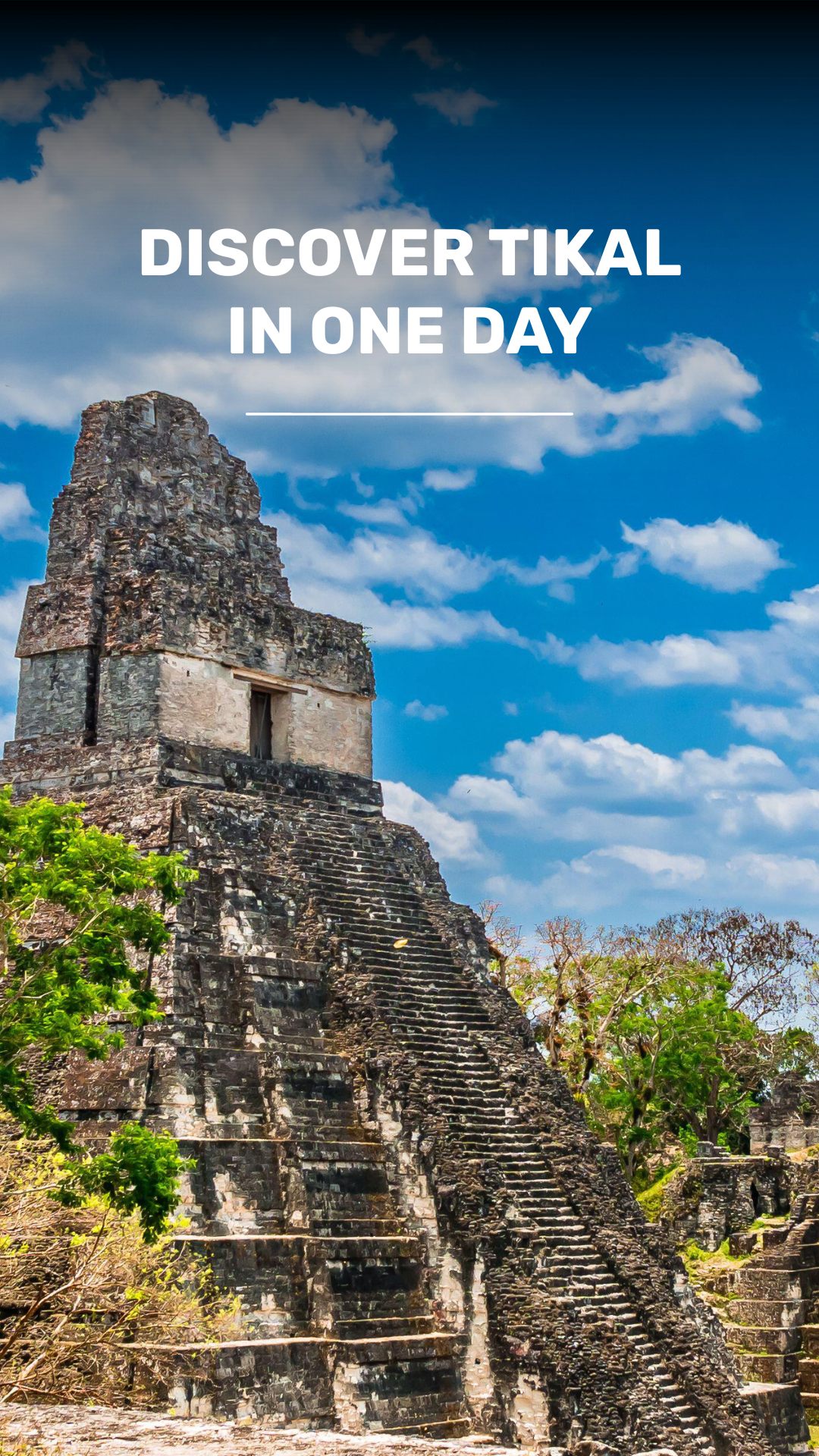 Guided tour of Tikal from Flores video
