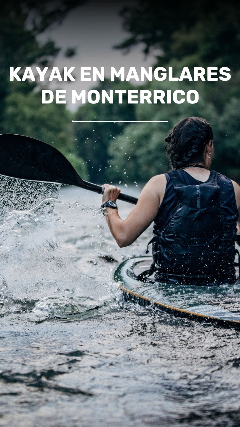 Disfruta de este tour de Kayak por el Manglar. video