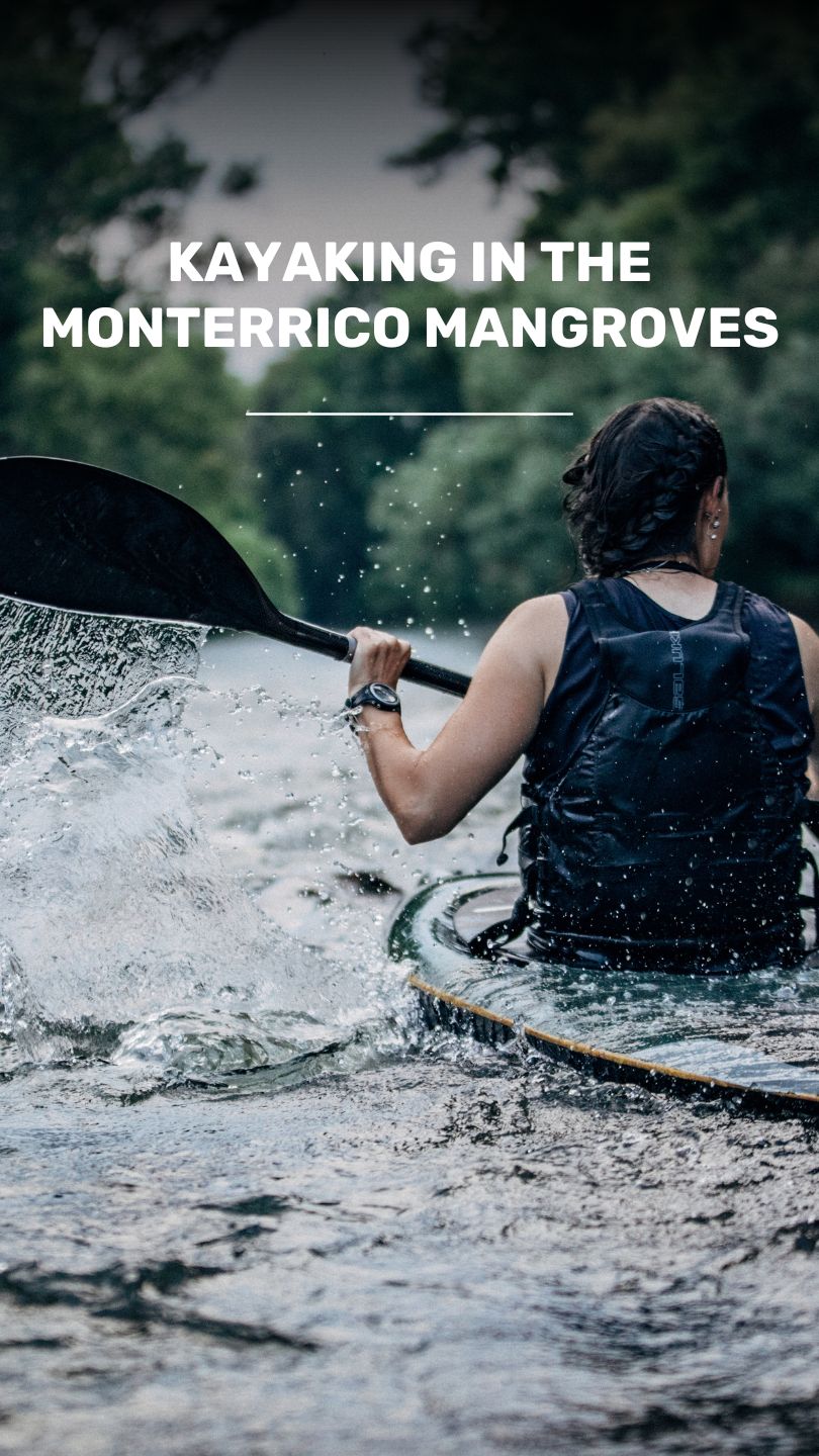 Enjoy this Kayak tour of the Manglar. video
