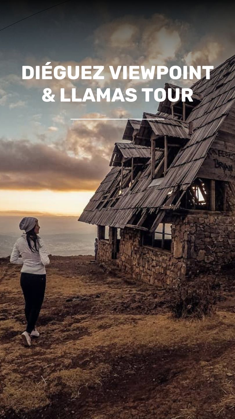 Discover the breeding of sheep and llamas in the Cuchumatanes video
