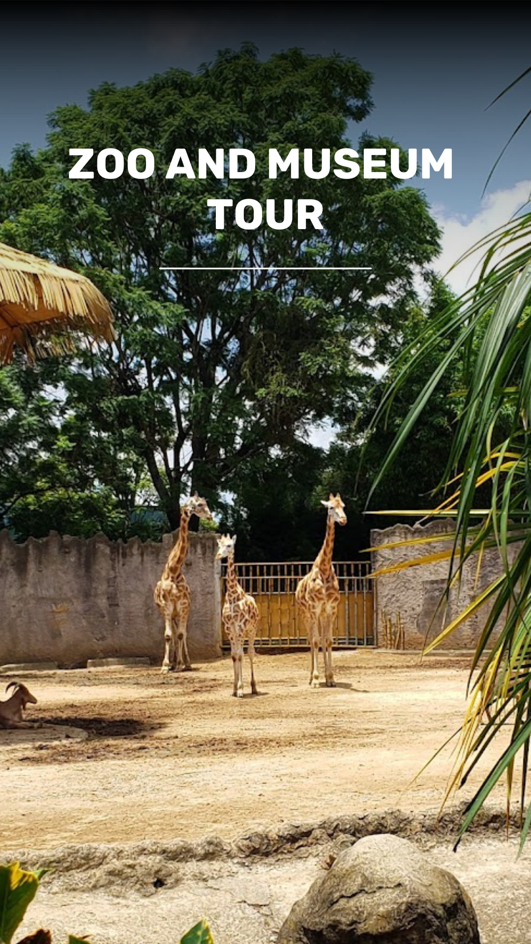 Children's Tour, Children's Museum and La Aurora Zoo video