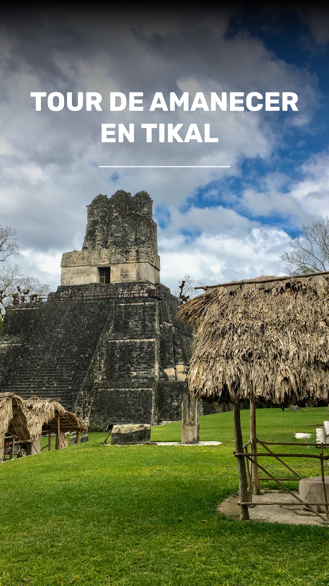 Tour Amanecer en Templo IV de Tikal y Recorrido Arqueológico video