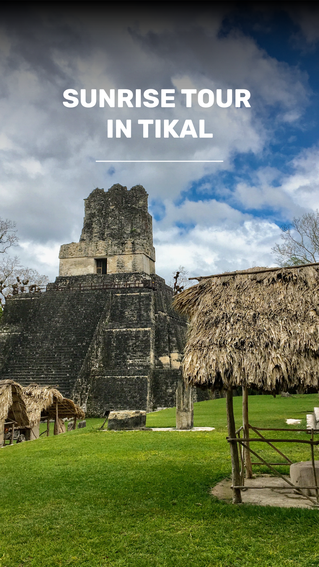 Dawn Tour in Temple IV of Tikal and Archaeological Tour video
