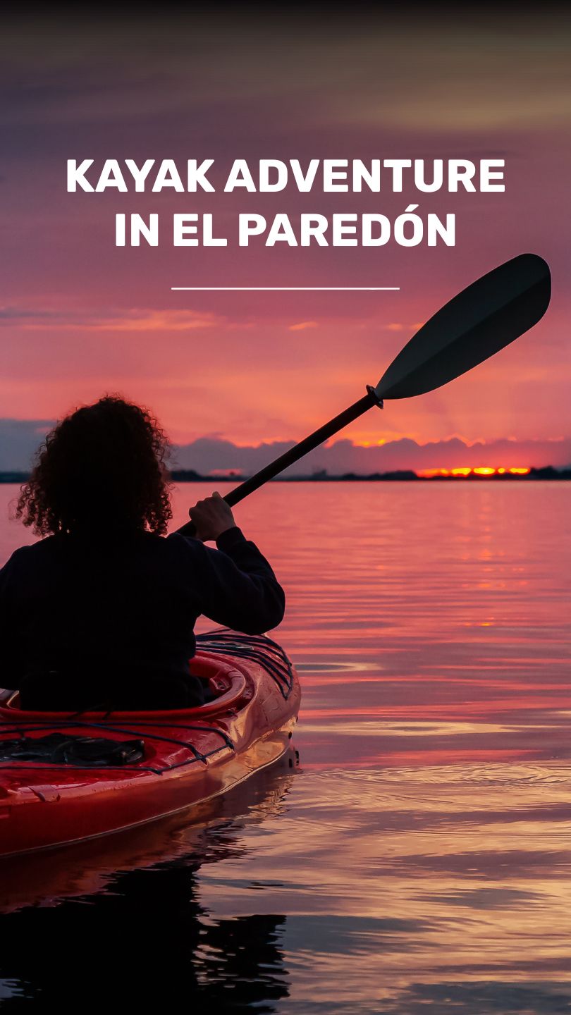 Discover the mangroves in kayak in El Paredon, Guatemala video