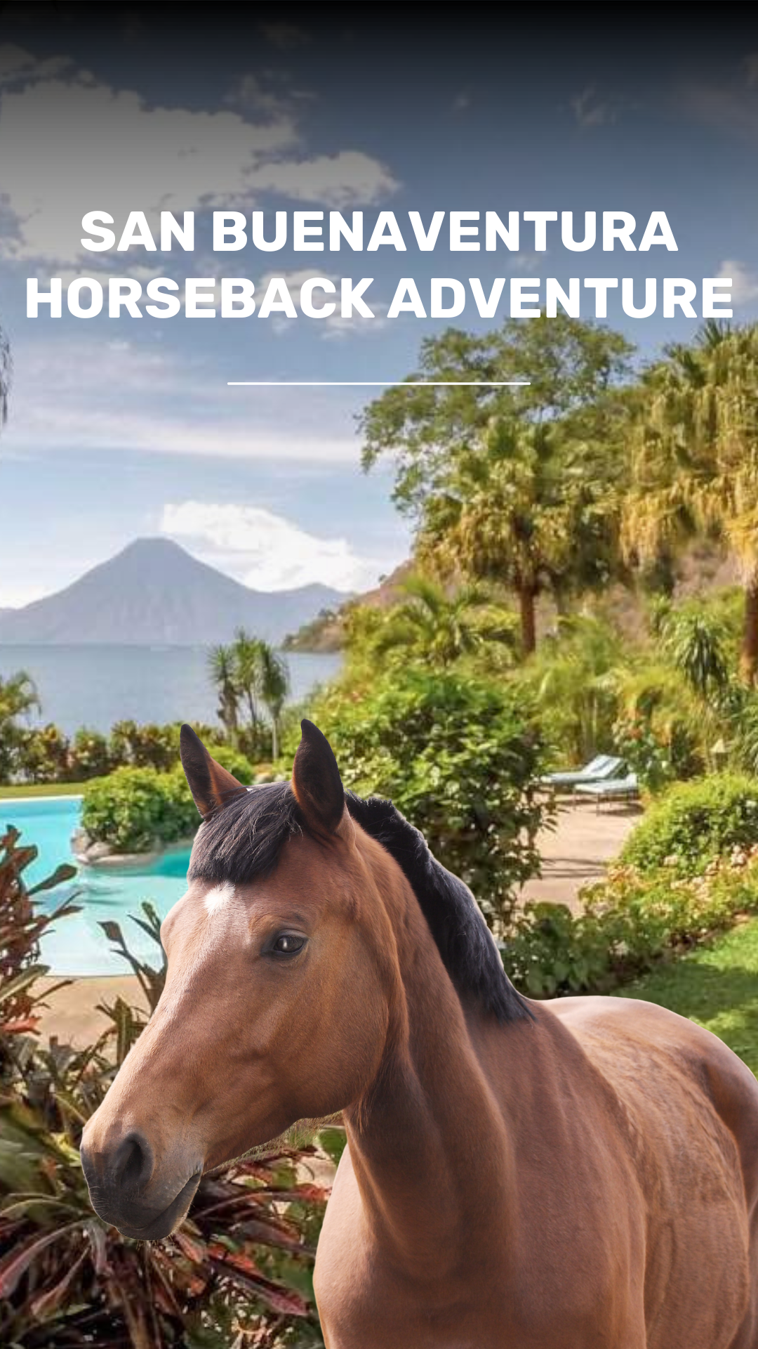 Tour to Caballo in Finca San Buena Aventura video