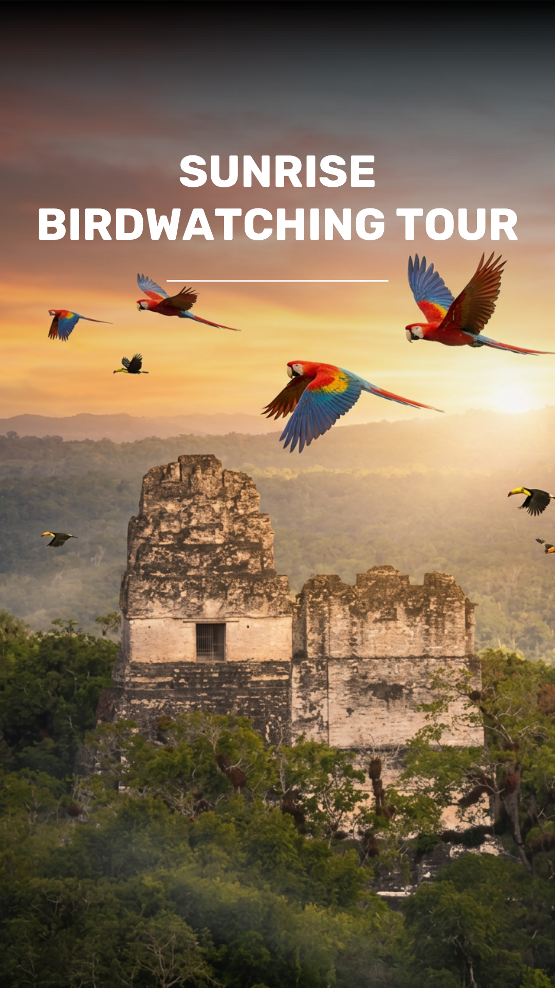 Bird sighting at dawn on Tikal video