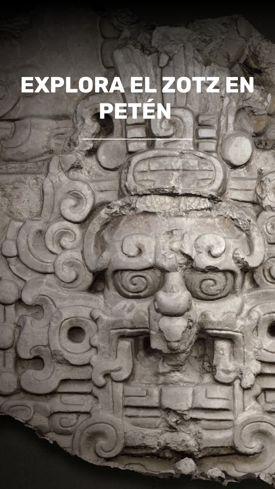 Explora El Zotz y Observa Murciélagos en la Selva de Petén video