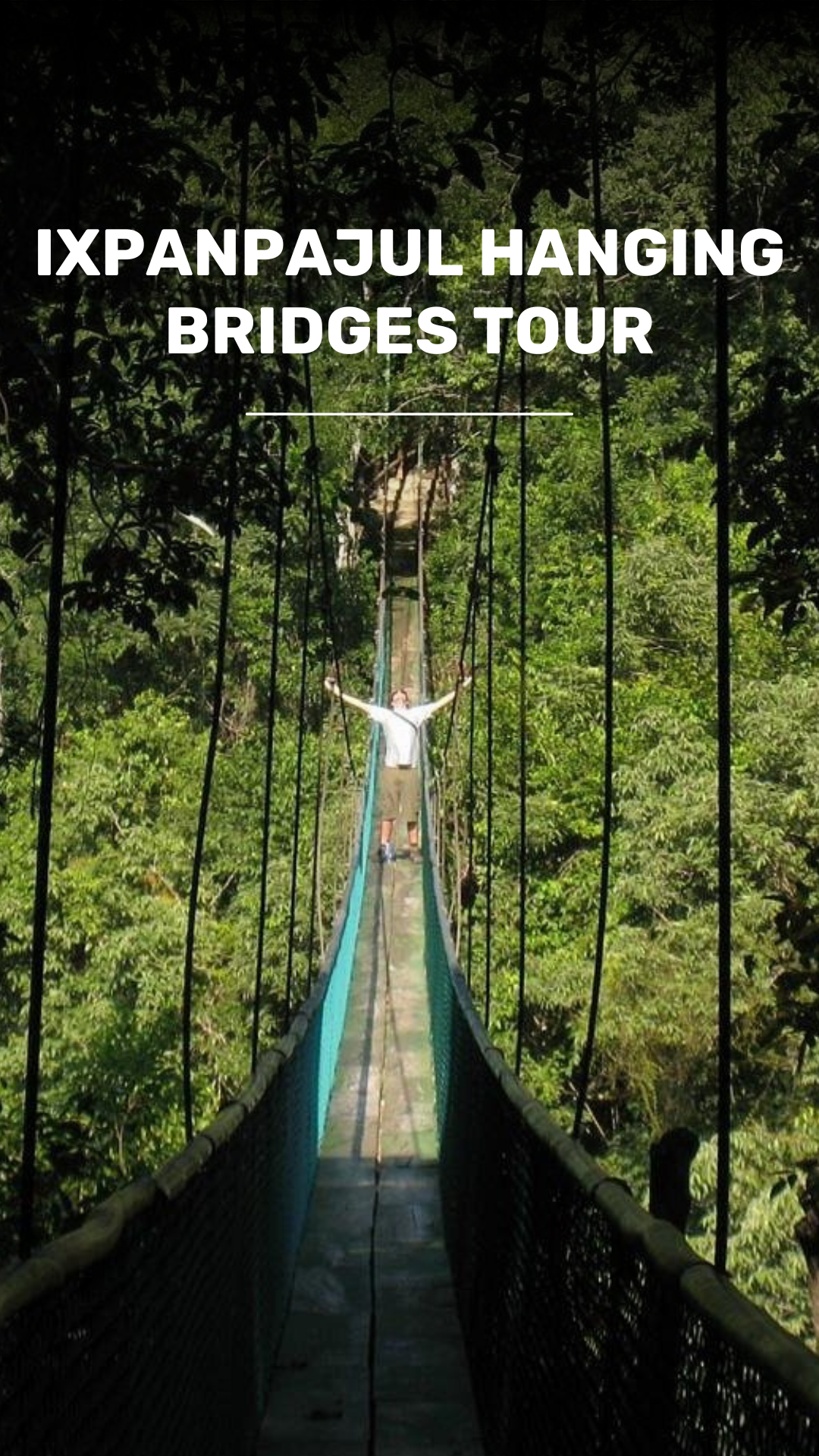 Adventure on Hanging Bridges of Ixpanpajul video