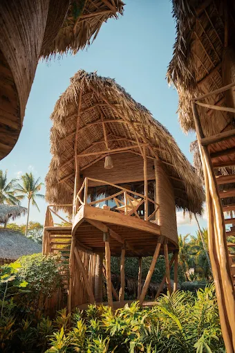 Tree House