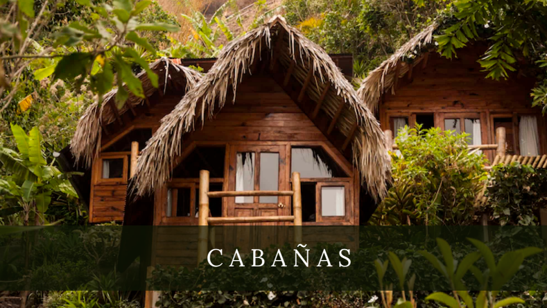 Cabin · Standard