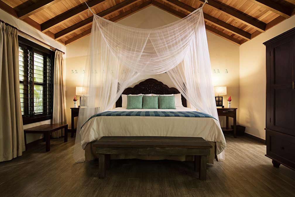Jungle Suite