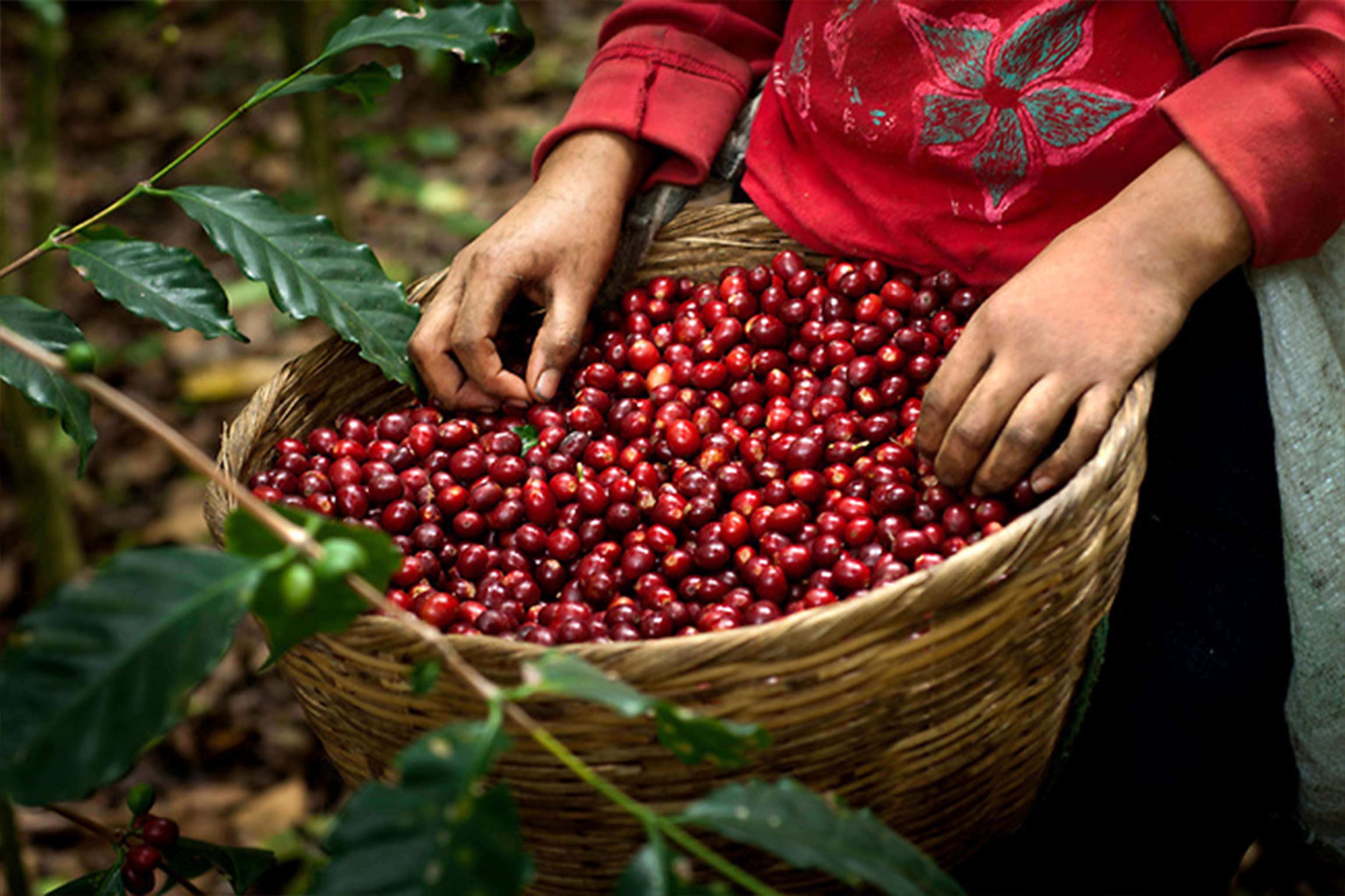 Tour of Izalco, Nahuizalco and Ataco in El Salvador - 1
