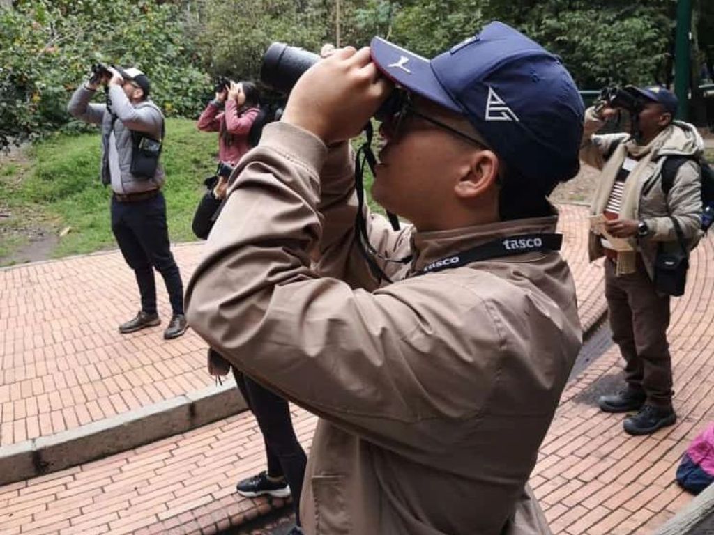 Birdwatching for Beginning Birders in Flores - 1