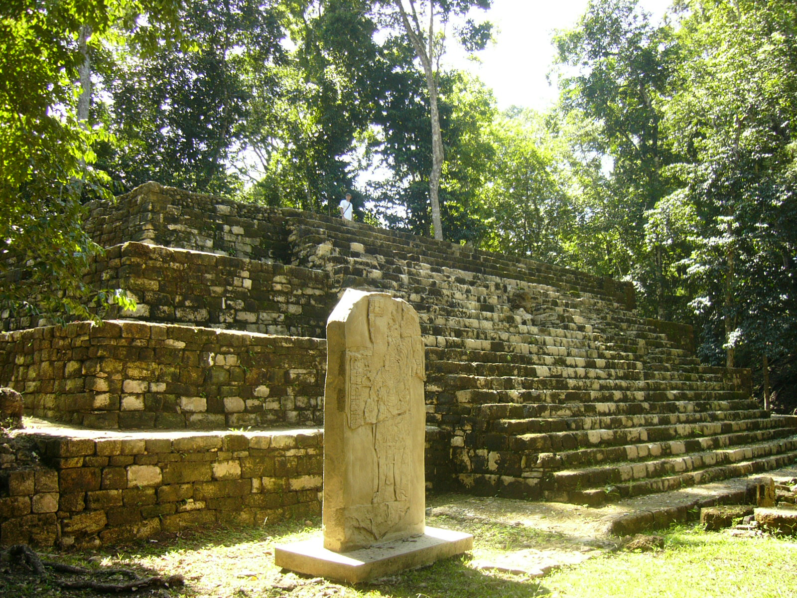 Gallery Travelisimo