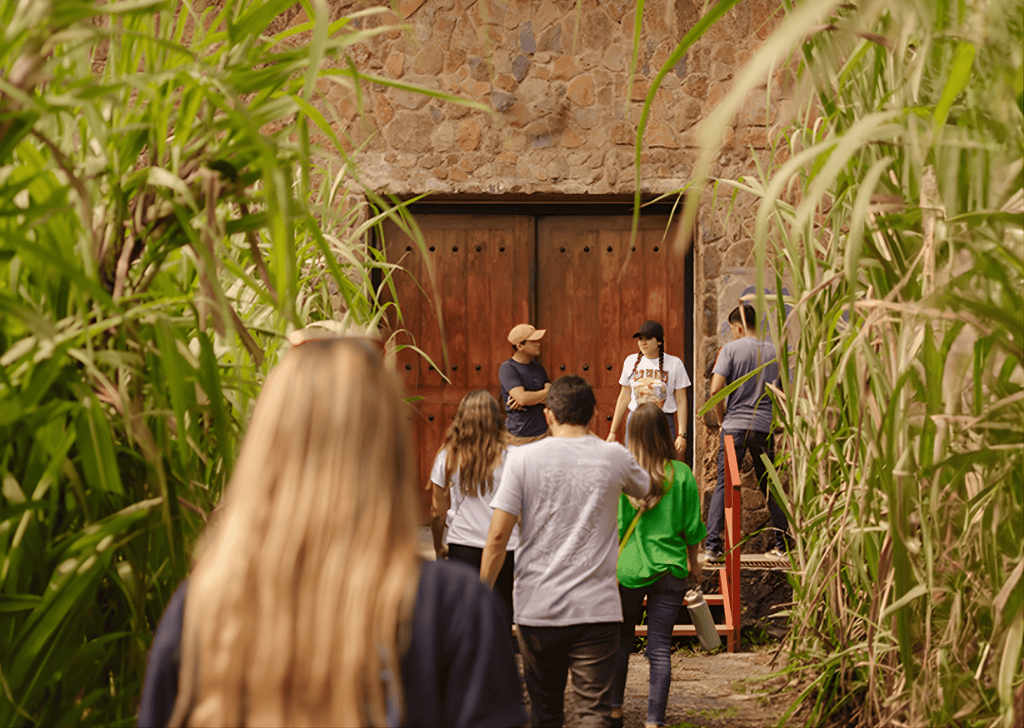 Tour of Flavors, History and Premium Experience - 4