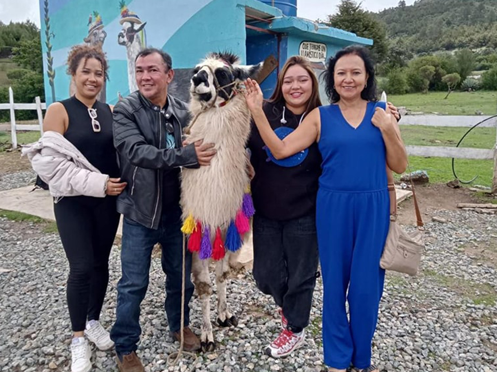 Discover the breeding of sheep and llamas in the Cuchumatanes - 2