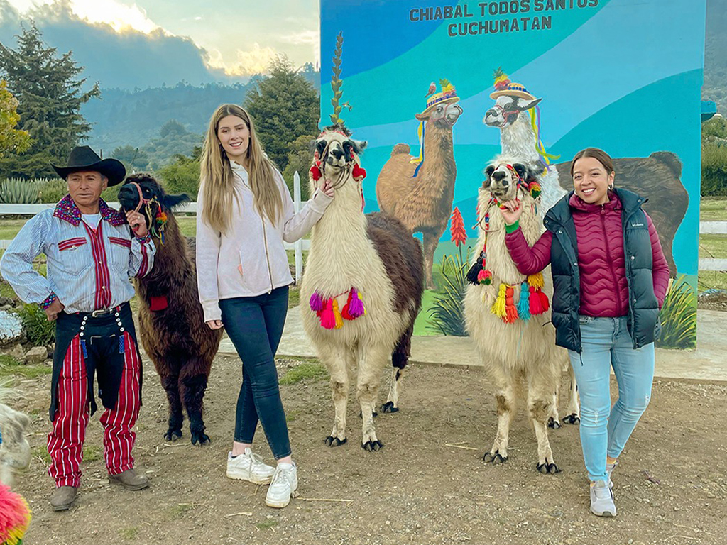 Discover the breeding of sheep and llamas in the Cuchumatanes - 4