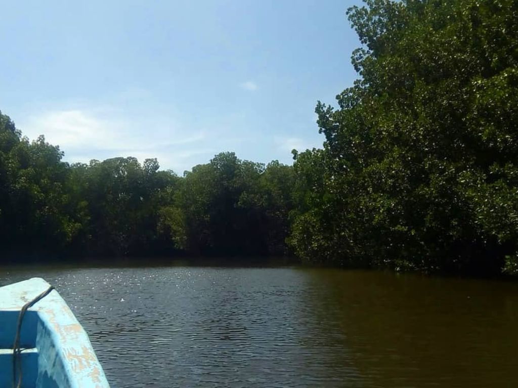 Discover Manchón Guamuchal: Nature and Adventure - 4