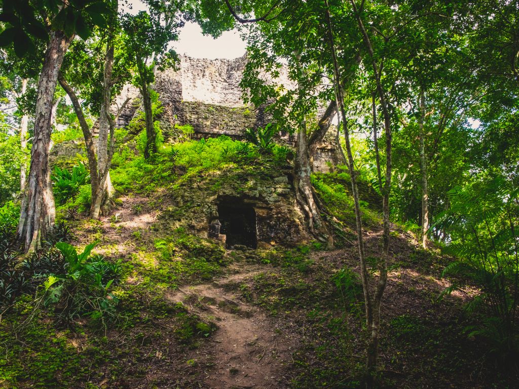 Discover the Mayan culture in Tikal by plane - 3