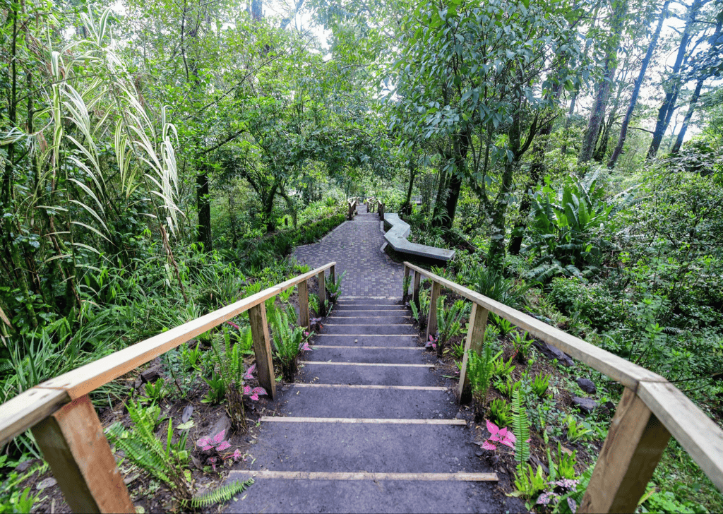 San Salvador and Boquerón: Nature, History and Tourism - 4