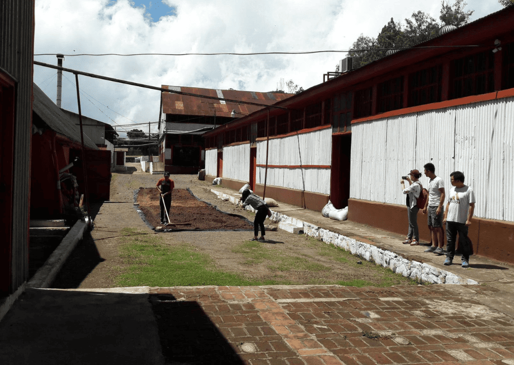 Gallery Travelisimo