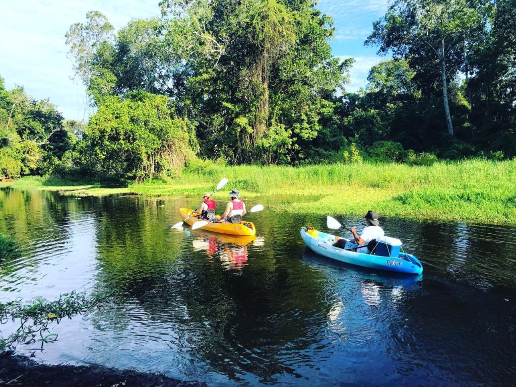 Discover the mangroves in kayak in El Paredon, Guatemala - 2
