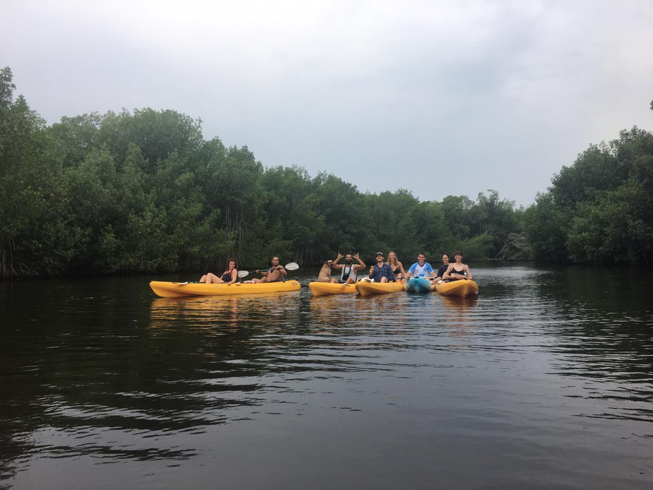 Discover the mangroves in kayak in El Paredon, Guatemala - 1