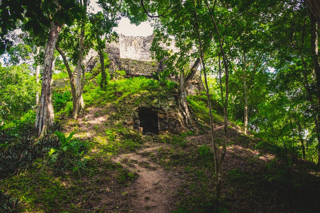 Explore the Zotz and Watch Bats in the Peten Jungle - 1