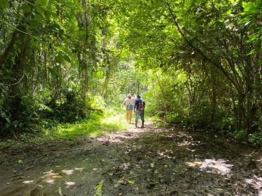 Tour Cave of the Tiger and Livingston, Mayan Culture and Nature - 4