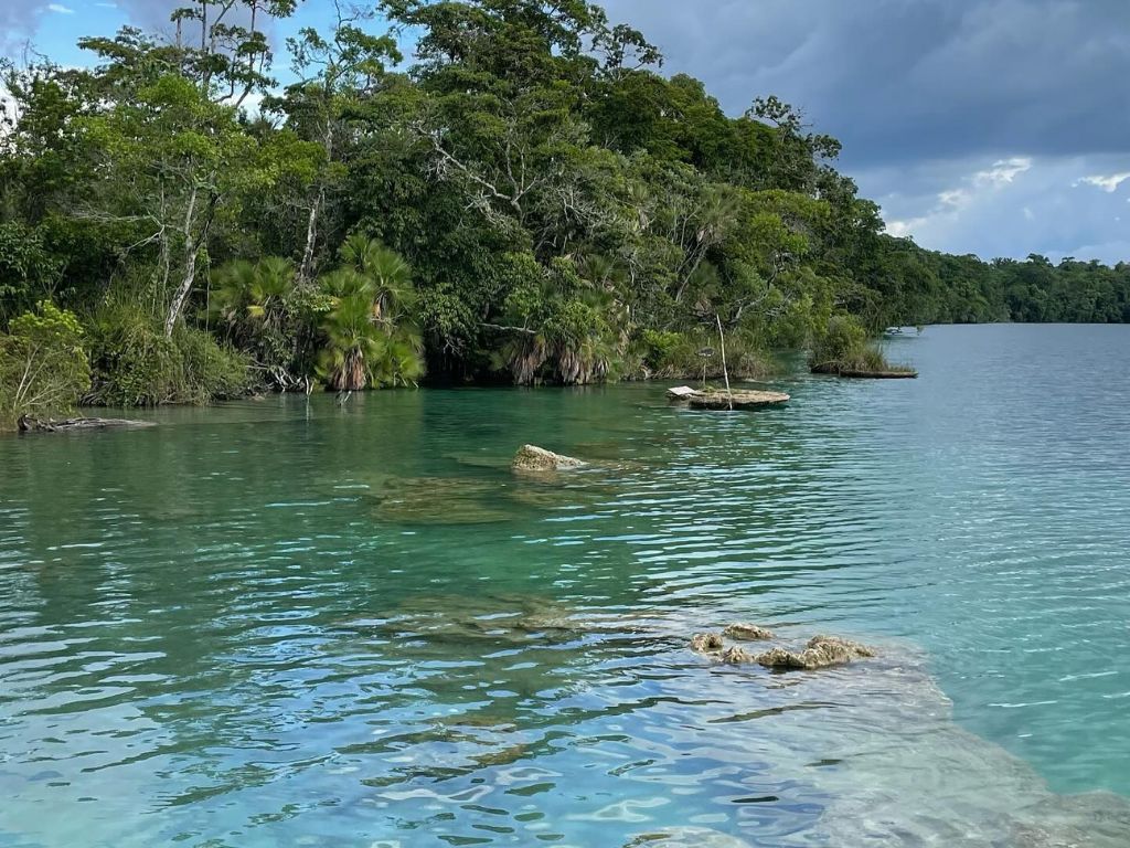 Natural Exploration in Laguna Lachua National Park - 4