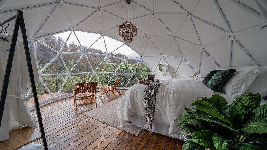 Luxury Glamping in El Salvador: Romance and Nature - 3