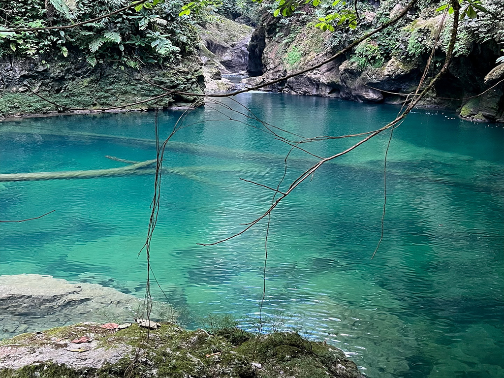 Explore nature at the Catarata Finca Sacmoc - 4