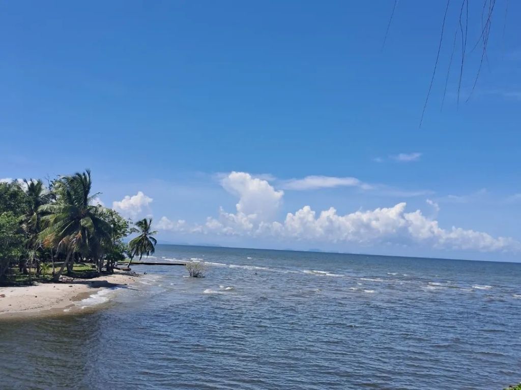 Panoramic Tour in Lancha by Rio Dulce - 2