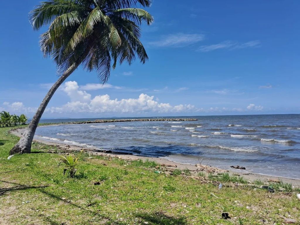 Panoramic Tour in Lancha by Rio Dulce - 4