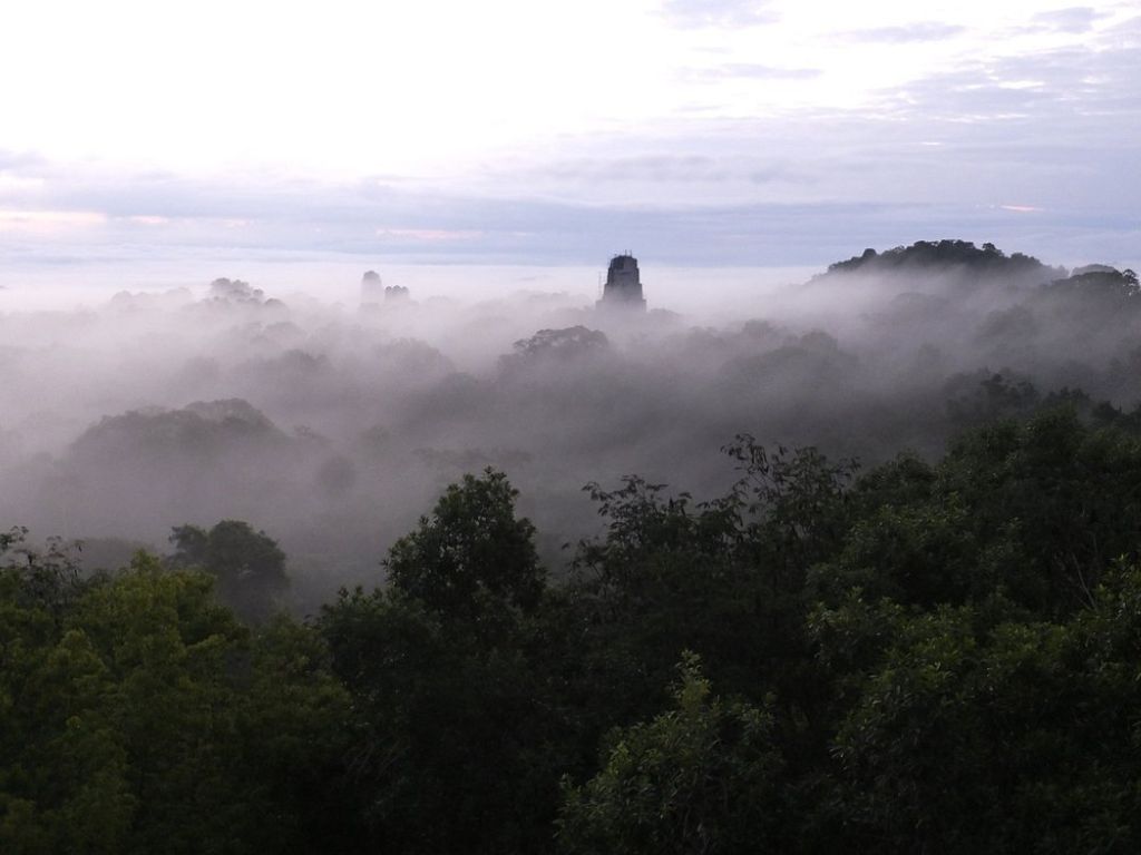 Dawn Tour in Temple IV of Tikal and Archaeological Tour - 4