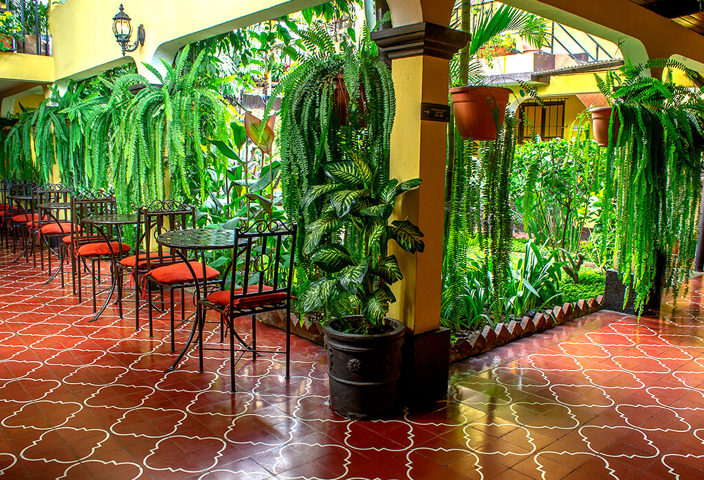 Gallery Travelisimo