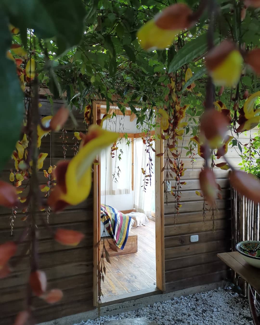 Charming Cabana Style House of the Tree in Lake Atitlan - 4