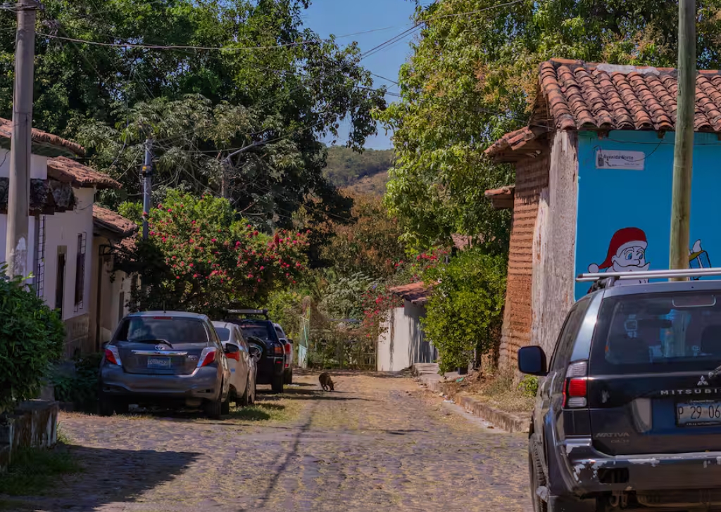 Gallery Travelisimo